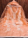 Ds Designer Suit Organza Silk Non Catalog Dress Material Wholesale Suppliers In Mumbai
